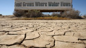 California drought