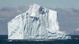 South Shetland-2016-Southern Ocean (off Elephant Island)