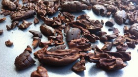 Roasted cocoa nibs