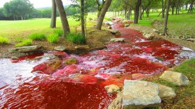 blood river