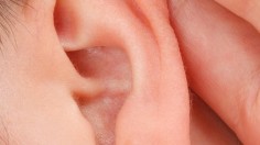 ear