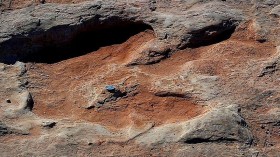 Dinosaur tracks north of flagstaff