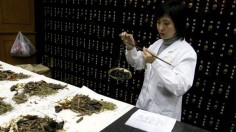 Traditional Chinese Medicine