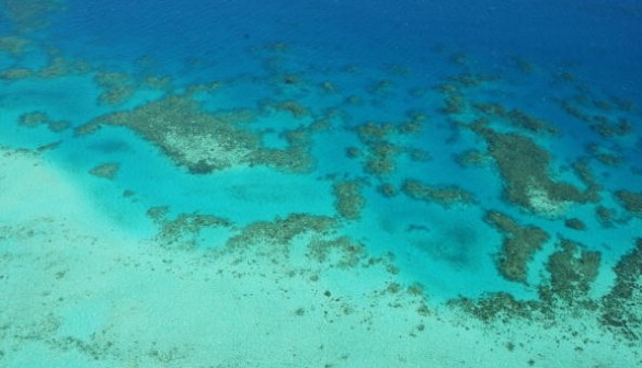 Great Barrier Reef Threatened With Extinction 'Within 20 Years'