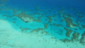 Great Barrier Reef Threatened With Extinction 'Within 20 Years'