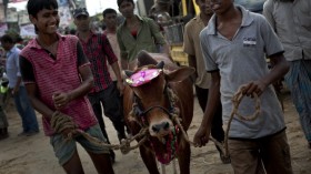 Preparations Begin For Eid Al-Adha Festival In Bangladesh