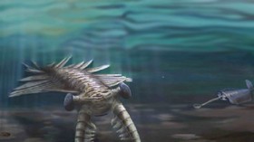 Marine life during the Cambrian explosion (~520 million years ago)