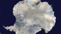 Antarctica