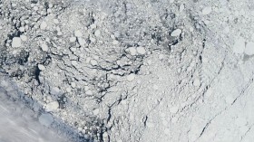 Arctic Sea Ice 