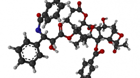 Paclitaxel is a mitotic inhibitor used in cancer chemotherapy.