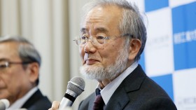 Nobel Prize In Medicine 2016: Yoshinori Ohsumi Of Japan