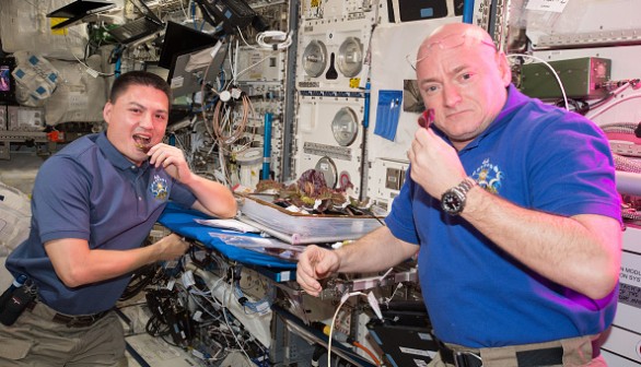 In Focus: Scott Kelly's Year In Space