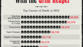 Top Causes of Death in 1901