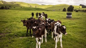 Agriculture versus the Paris Agreement