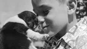 A boy gives love to a pet beagle puppy