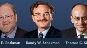 James E. Rothman, Randy W. Schekman and Thomas C. Südhof win 2013 Nobel Prize for  Physiology or Medicine 