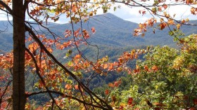 Great Smoky Mountains National Park