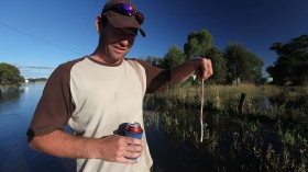 Biggest Earthworm Found in the UK and Killed For Scientific Reasons