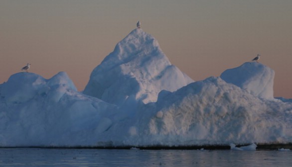 Greenland: A Laboratory For The Symptoms Of Global Warming