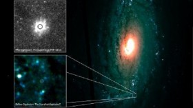 Supernova iPTF13bvn,