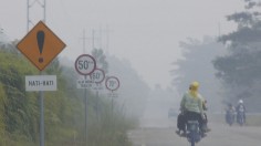 Haze From Wildfires Blanket Indonesian Skies