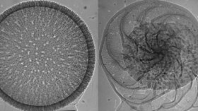 The intricate structure of plankton shells provides new opportunities to chart complex changes in climate.