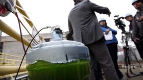 Marine microalgae is the food and fuel of the future