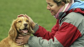 New Laws For Pet Welfare To Come Into Force