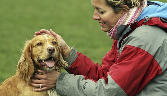 New Laws For Pet Welfare To Come Into Force