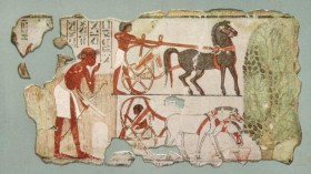 Egyptian Charioteers