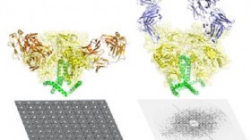 Scientists Capture Most Detailed Picture Yet of Key HIV/AIDS Protein