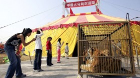 China Celebrates Its 57th National Day