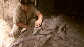 Paleontologists Excavate Pre-Historic Salvadoran Site