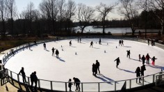 Frozen Fish Gimmick of Japan Skating Rink Angers Public