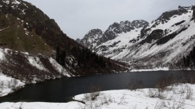 Even during winter, life under the ice is very active and diverse