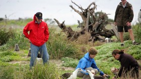 Alarming Amount of Plastic Found Spinning in the Middle of the Pacific Ocean