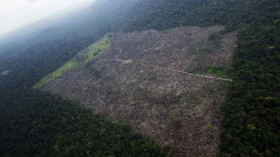 An aerial photograph shows a tract of Amazon jungle cleared by loggers and farmers, near Altamira in Para State, Brazil, November 15, 2012.