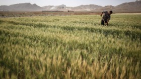 A Trip Through The Heart Of Central Iran 25 Years After Khomeini's Death