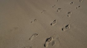 Footprints