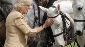 Prince Charles And Camilla, Duchess Of Cornwall Visit Portugal - Day 2