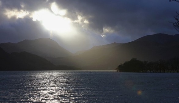 Scientists examine 'perfect storms' fueling vast tropical biodiversity