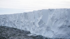 Icebergs line the Antarctica