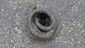 Lugworm cast on Newport Sands