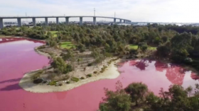 Pink Lake