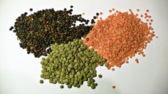 lentils 