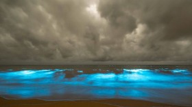 Tasmania sea sparkle