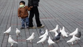 Boy with mask