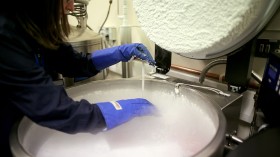 Scientists Figure Out Way To Quickly AND Safely Thaw Cryopreserved Tissue - How Does This Work