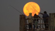 Massive 'Super Moon' Rises Over U.S.