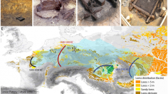 Early Neolithic Water Wells Reveal the World's Oldest Wood Architecture